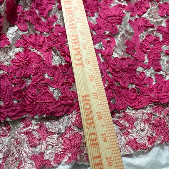 Yoana Baraschi Anthropology Fit and Flare Dress. Mesh with Pink Ribbon Overlay. - Picture 15 of 16